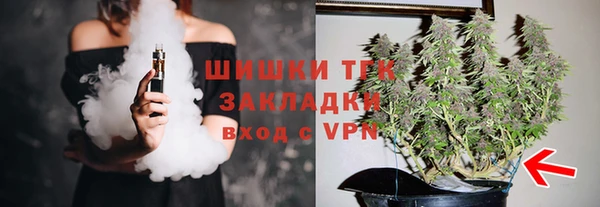 соль ск Белокуриха