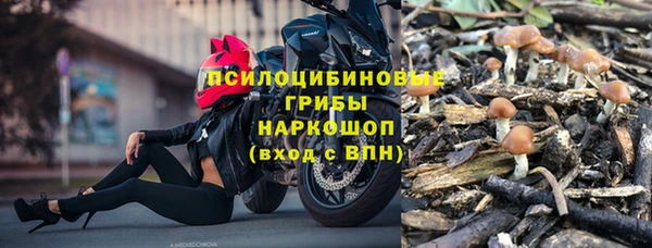 соль ск Белокуриха