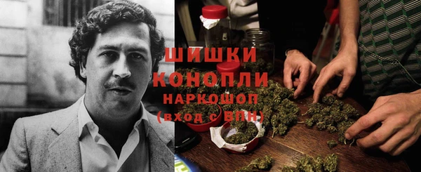 соль ск Белокуриха