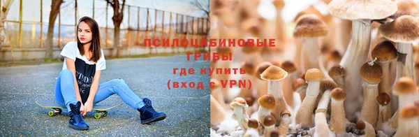 первитин Беломорск